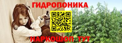 2c-b Обь